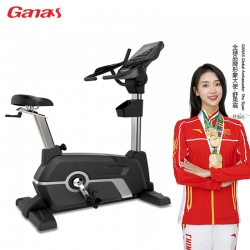 重庆商用立式健身车 静音运动自行车（黑银）